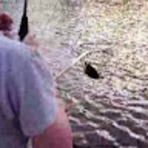 Meet your Posher, Damien